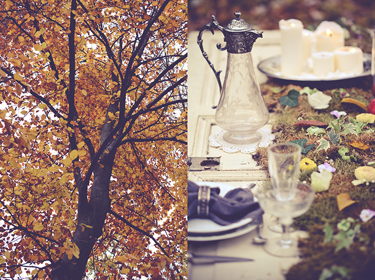 ce-jour-la-photographie-mariage-automne-fall-wedding-008