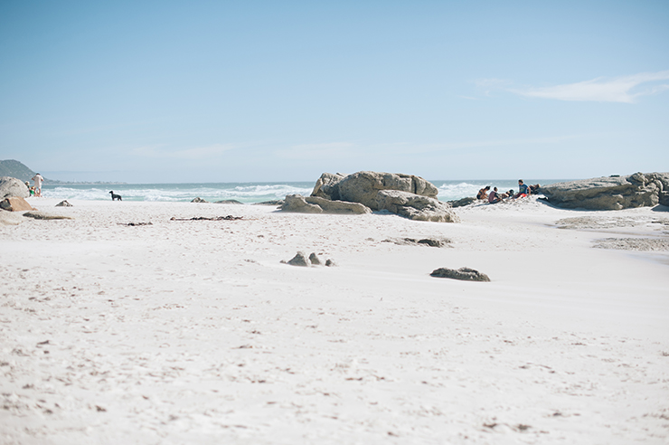 Thomas and Dag Noordhoek Beach wedding by dna photographers_-56