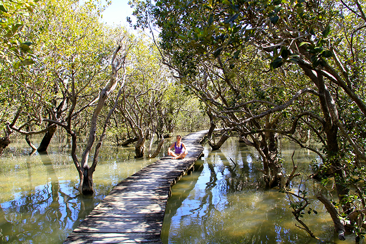 bay-of-islands2