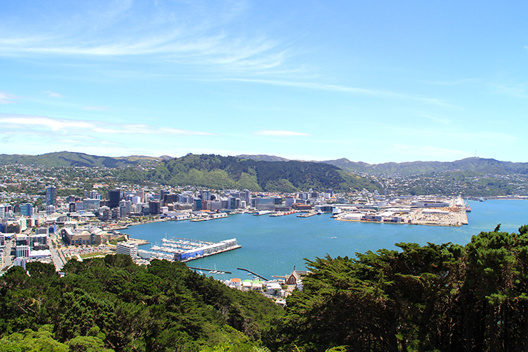 wellington3