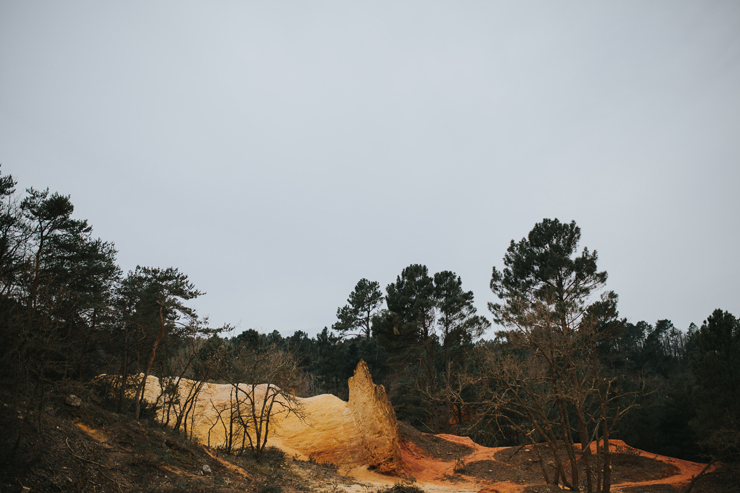 Engagement_colorado_provencal-82